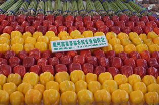 著力打造農(nóng)業(yè)品牌，全力促進農(nóng)民增收——我市積極參展2014年中國（海南）國際熱帶農(nóng)產(chǎn)品冬季交易會